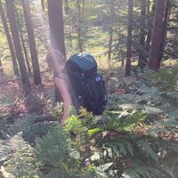 Fotos von Cecilie Plunder