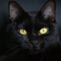 Nunzio Ribaudo的照片