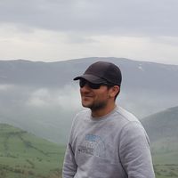 hamid hamidi's Photo