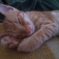 abdelillah sassa's Photo