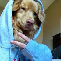 David Vicente Campos's Photo