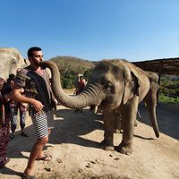 Mohamed Tribak的照片