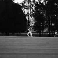 Dominique Tang的照片