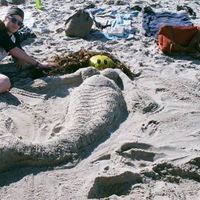 Scott Hagerman的照片