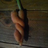 Nandini Mera's Photo