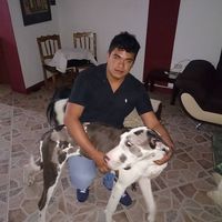 Julian Osorio's Photo