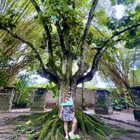 Alicia Vicaña's Photo