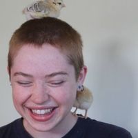 Lily Hamilton's Photo