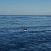 Елена Машкова's Photo