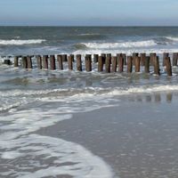 Juliette Beaudequin-Scholten's Photo