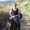 Dave Williamson's Photo