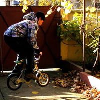 Daniel Todor的照片