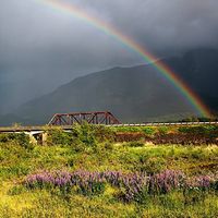 Eduardo Torres's Photo