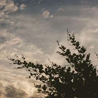 Quynh Nguyenn的照片