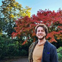 Paul Tavernier的照片