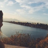 Times Dambrosio's Photo