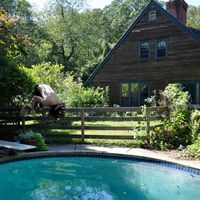 Christian Whelehan's Photo