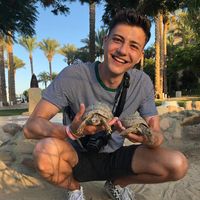 Photos de Tobias Amling