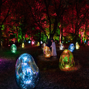 teamLab Botanical Garden Osaka's picture