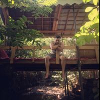 Mohammad ali Reshadat's Photo