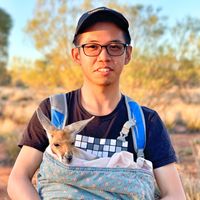 RUO XUAN ANG的照片