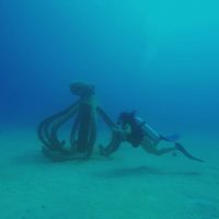 Larissa Moreira's Photo