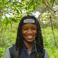 Fotos de David Kwanda