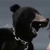 Maria Figueiredo's Photo