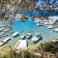 Rhodesnature Guide's Photo