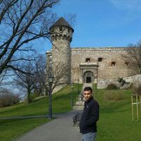 David Avitan的照片