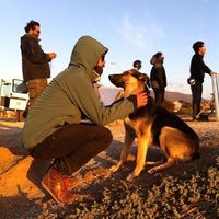 Фотографии пользователя Sebastian Lira