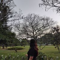 Фотографии пользователя Priyal Sadh