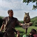 фотография Falcon Show 