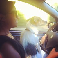 Фотографии пользователя Sofia Alf