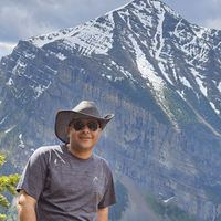 Fotos de Reza Amirbehzadi