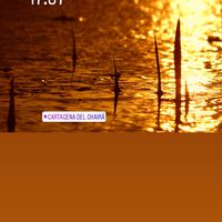 Laura Vélez's Photo