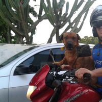 Photos de Maxi Cabral