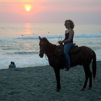 Perrine Le Roy的照片