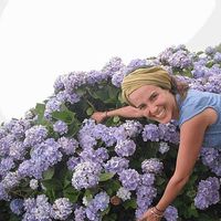 Sonia Figueiredo's Photo