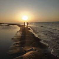 mobina almasi's Photo