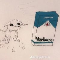 Darwish Osmana's Photo