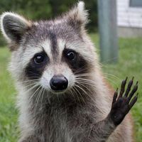 Fercho Punto的照片