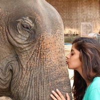 Alejandra Villegas's Photo