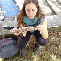 Ali Liberman的照片