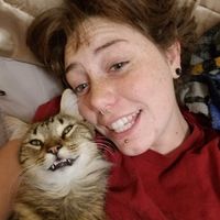 Drew McNulty的照片