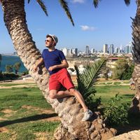 Fotos de Dino Voltum