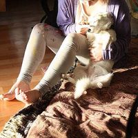 Zdjęcia użytkownika Rada Pescaru