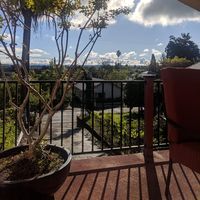 Corey Adams的照片