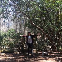 Fotos de Jailene Navedo