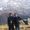 Rajat Gupta's Photo